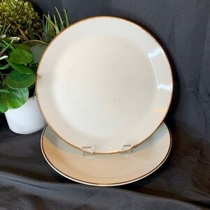 Set of 2 vintage J&G Meakin 10” Lifestyle dinner plates